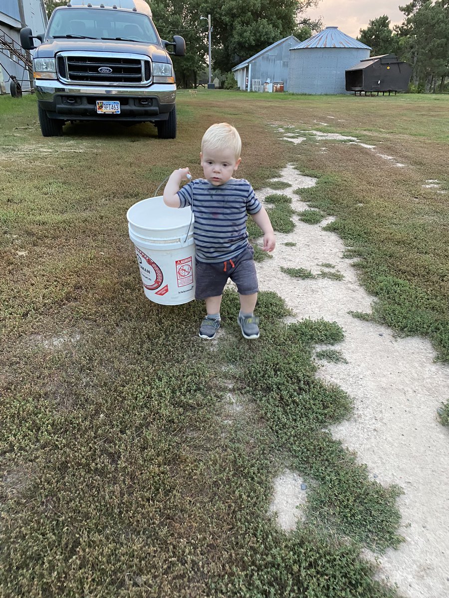 Tim “Clownshow Farms” Braun tweet media