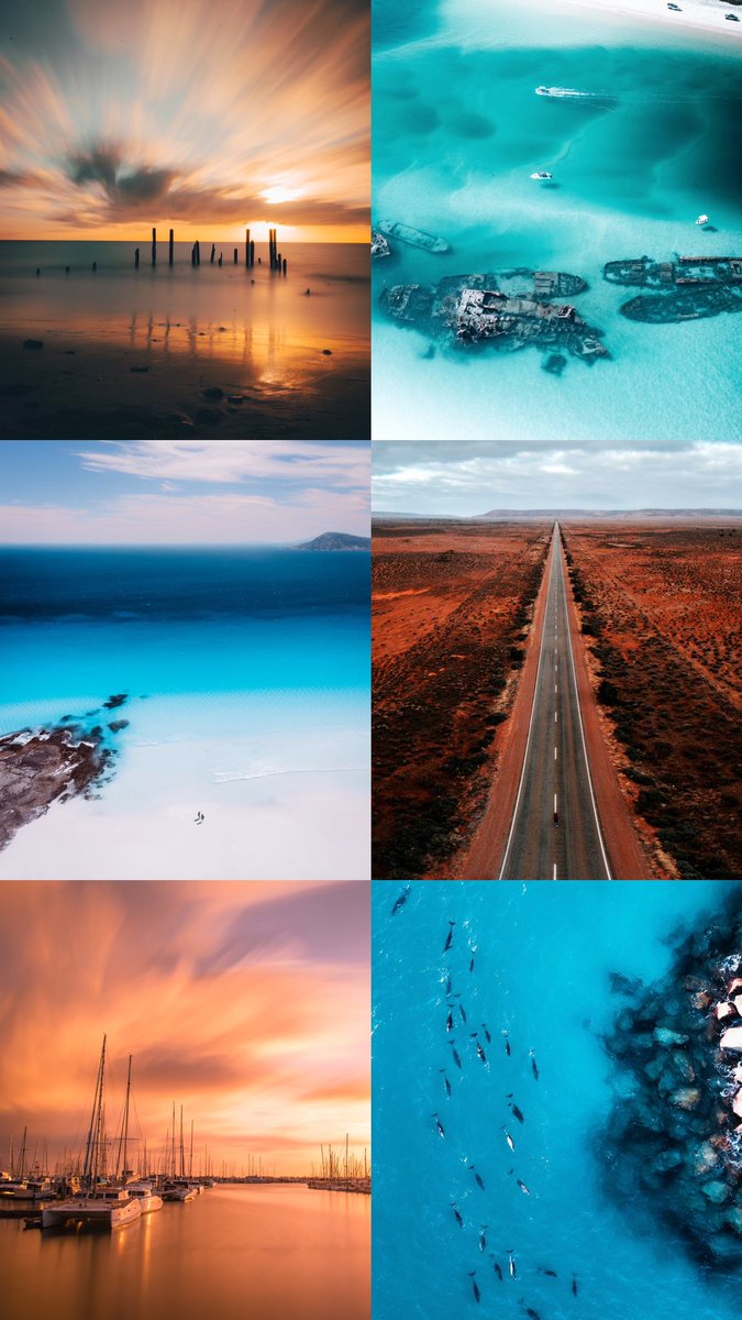 in_focus_studios tweet media