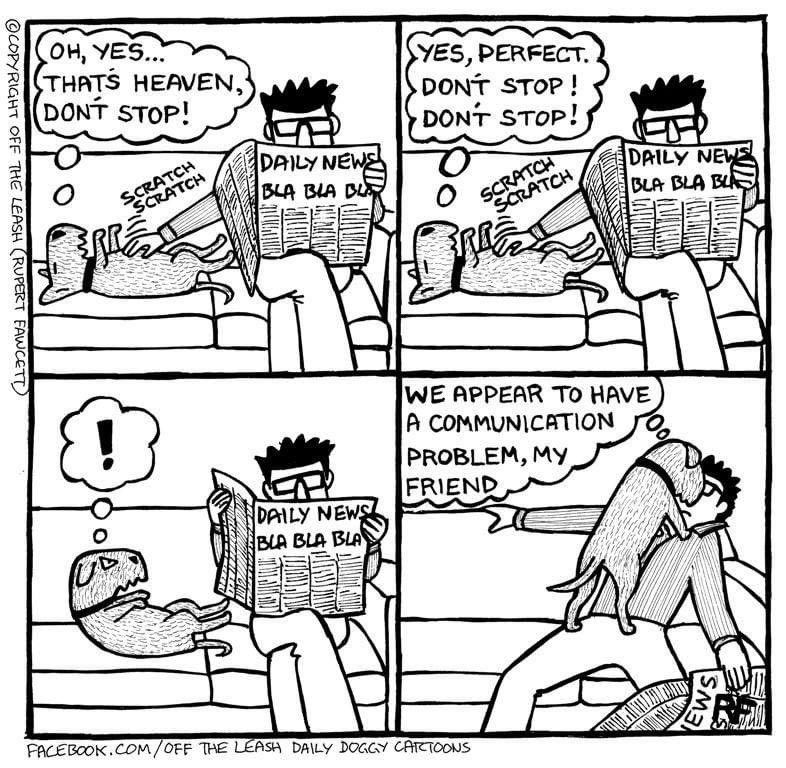 KeyesBill's tweet photo. Must’ve watched me & my dog yesterday. #truthaboutdogs #dogsoftwitter #DogsAreFamily https://t.co/EwpHNTttwC