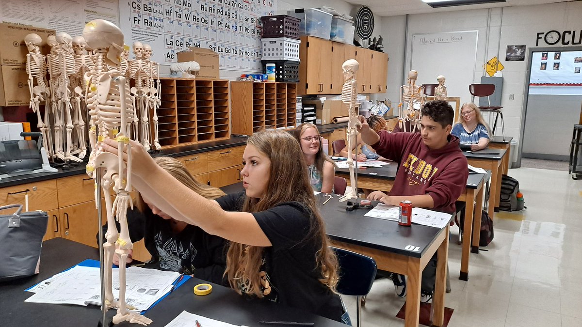 mochem12's tweet photo. #HBS #PLTW studying for their bones quiz @Eldon_Schools @Eldon_Mustangs They have been working hard this week! https://t.co/t8m05ZLyxg