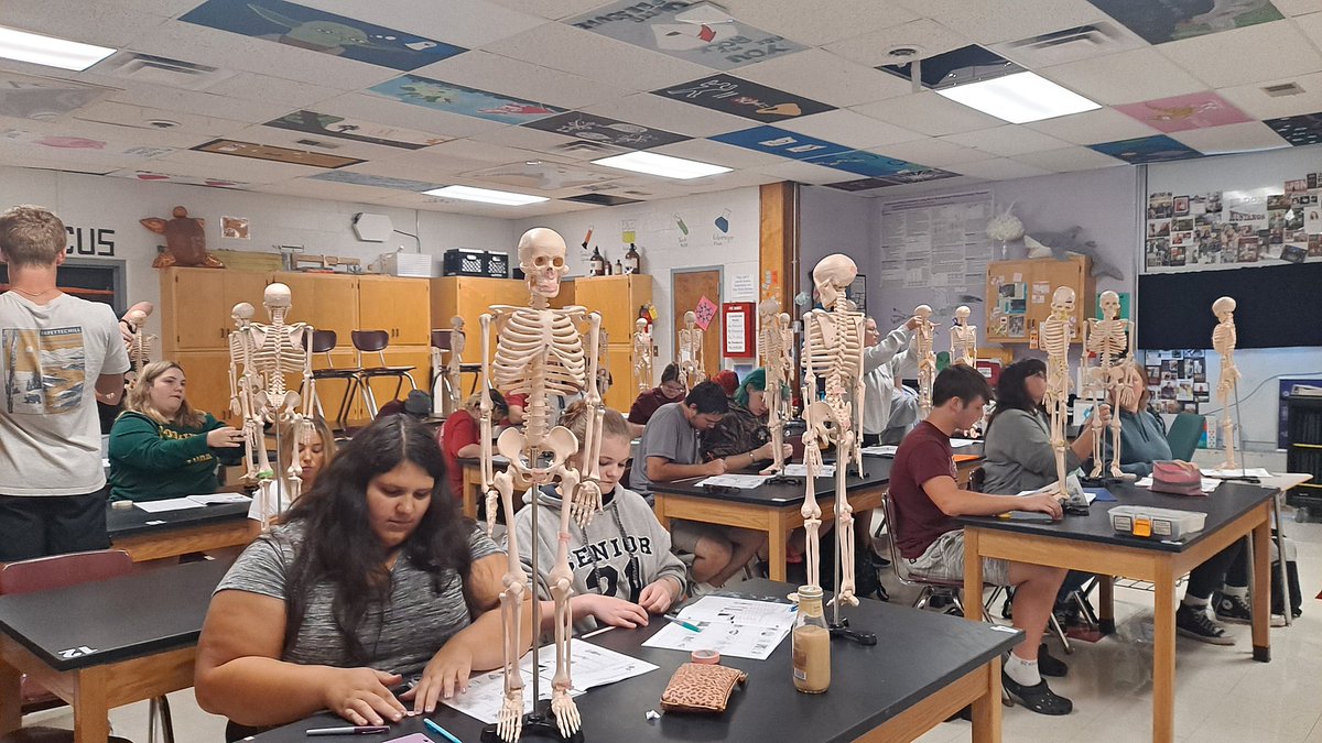 mochem12's tweet photo. #HBS #PLTW studying for their bones quiz @Eldon_Schools @Eldon_Mustangs They have been working hard this week! https://t.co/t8m05ZLyxg
