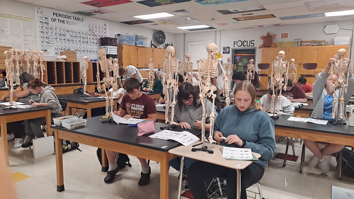 mochem12's tweet photo. #HBS #PLTW studying for their bones quiz @Eldon_Schools @Eldon_Mustangs They have been working hard this week! https://t.co/t8m05ZLyxg