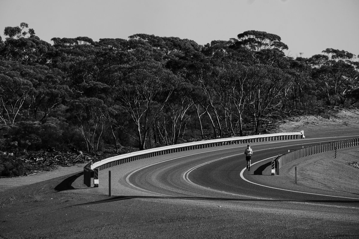 Nedd Brockmann Run tweet media