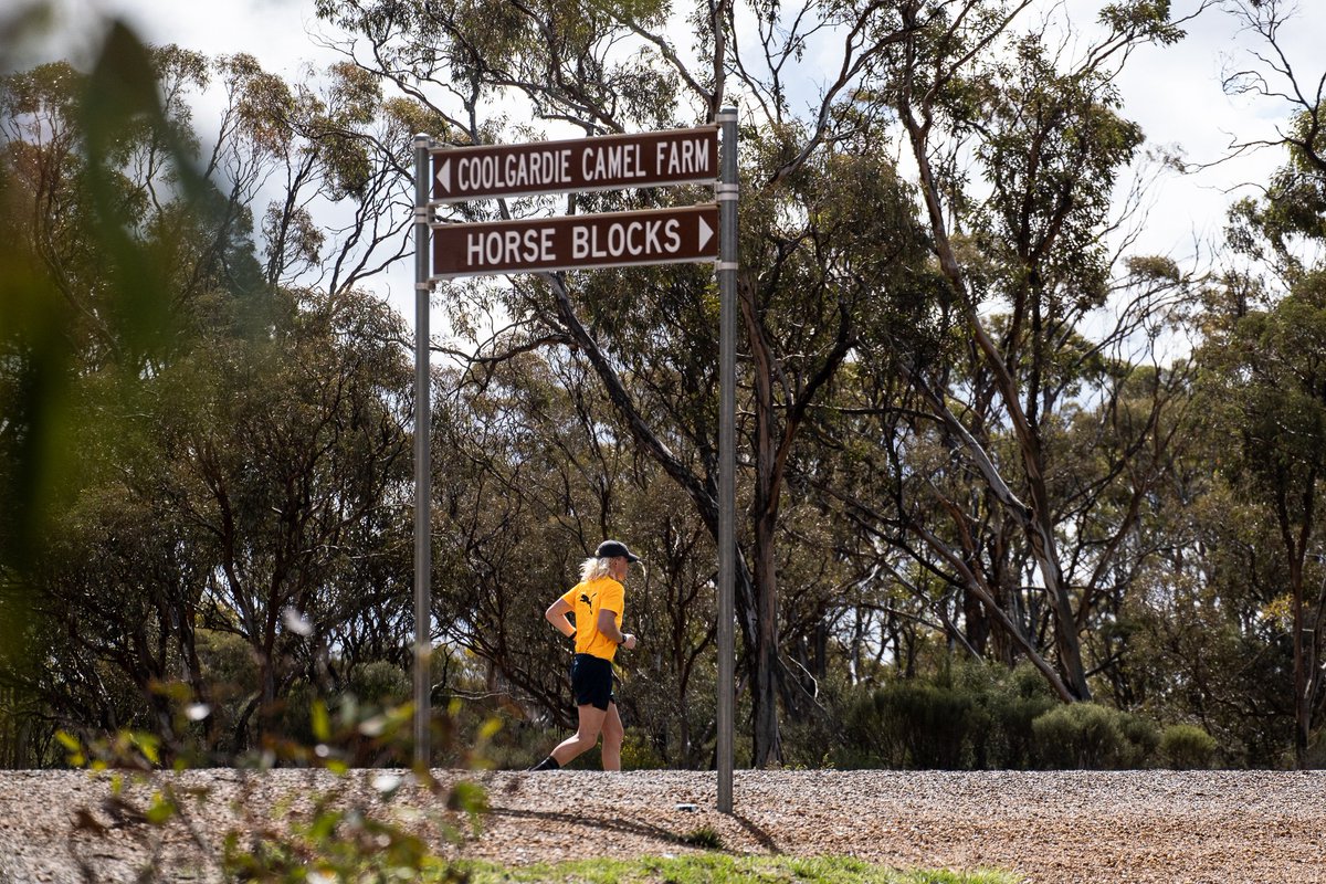 Nedd Brockmann Run tweet media