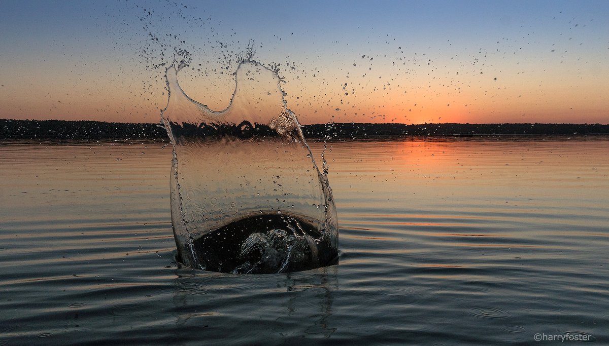 Harry Foster tweet media