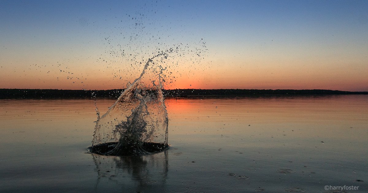 Harry Foster tweet media