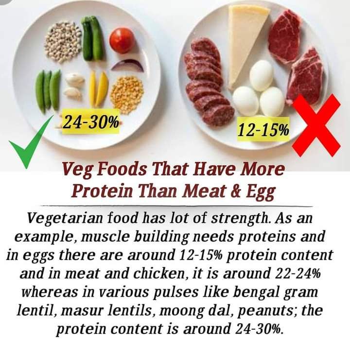 InsanNeeru2's tweet photo. #HealthyWayOfLiving
As a person eats, his mind becomes the same, so a person should eat pure vegetarian food, should not use non-vegetarian food because by using it gradually our body becomes home to many diseases. https://t.co/XKyQGgO6dd