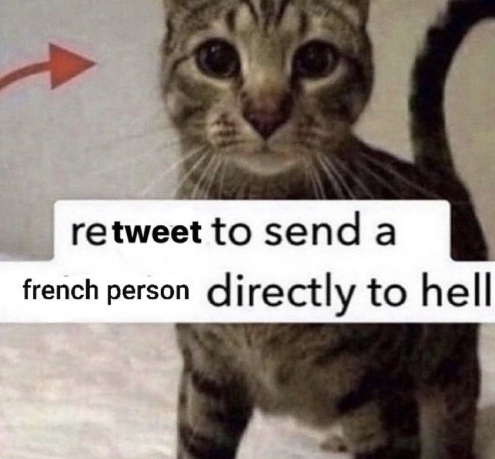 slayvideos's tweet image. 