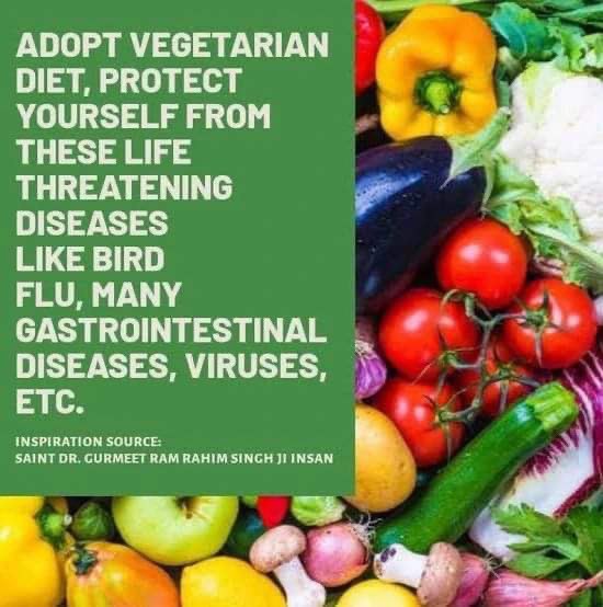 imVickyMansa's tweet photo. Saint Gurmeet Ram Rahim Ji bestowed that adopt vegetarian diet its good for health, and aware masses about the diseases caused by non -veg, millions quit non-vegetarian diet and adopt healthy lifestyle. #HealthyWayOfLiving https://t.co/JVQEHWXMFf