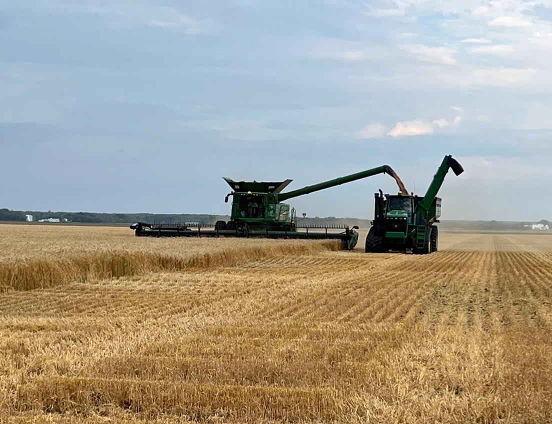 travberg18's tweet photo. Harvest is underway after a very long spring/summer. Happy to see dust flying again. https://t.co/SdBZXaIF8f