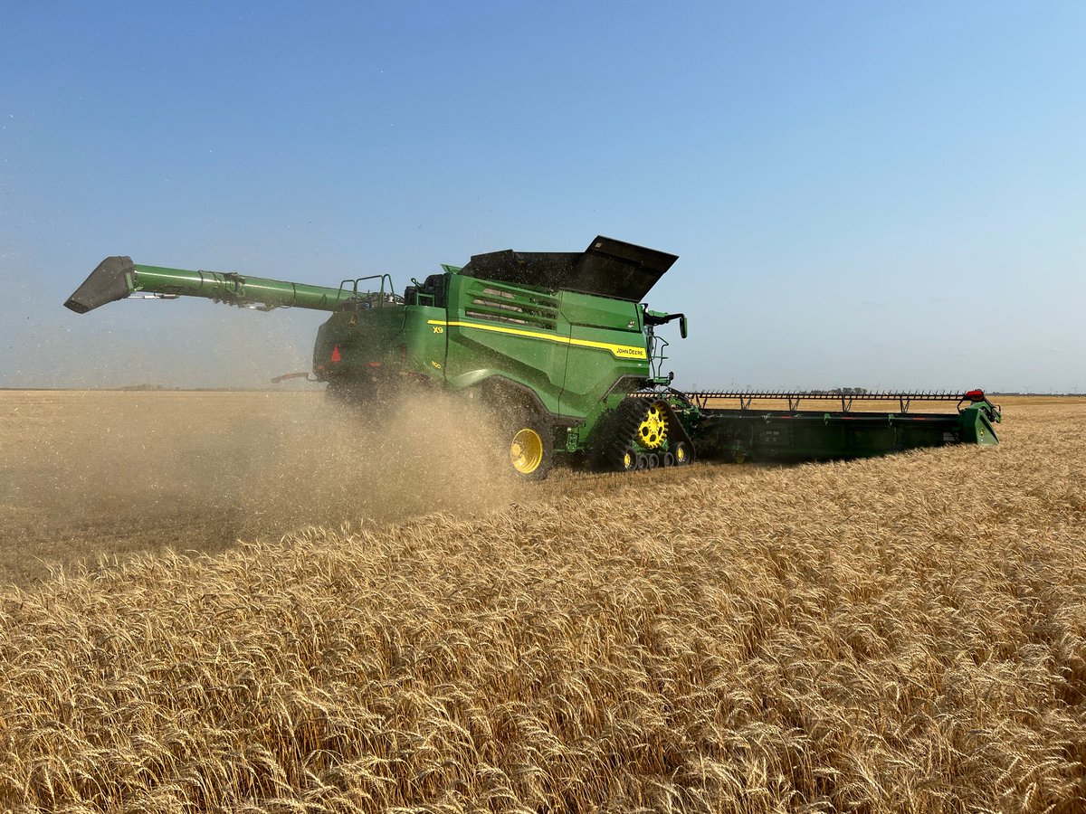 travberg18's tweet photo. Harvest is underway after a very long spring/summer. Happy to see dust flying again. https://t.co/SdBZXaIF8f