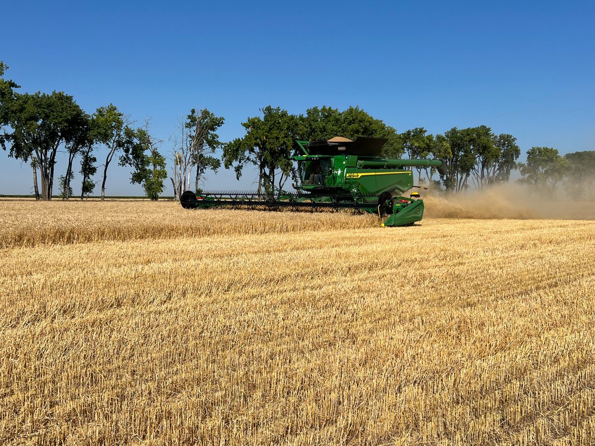 travberg18's tweet photo. Harvest is underway after a very long spring/summer. Happy to see dust flying again. https://t.co/SdBZXaIF8f