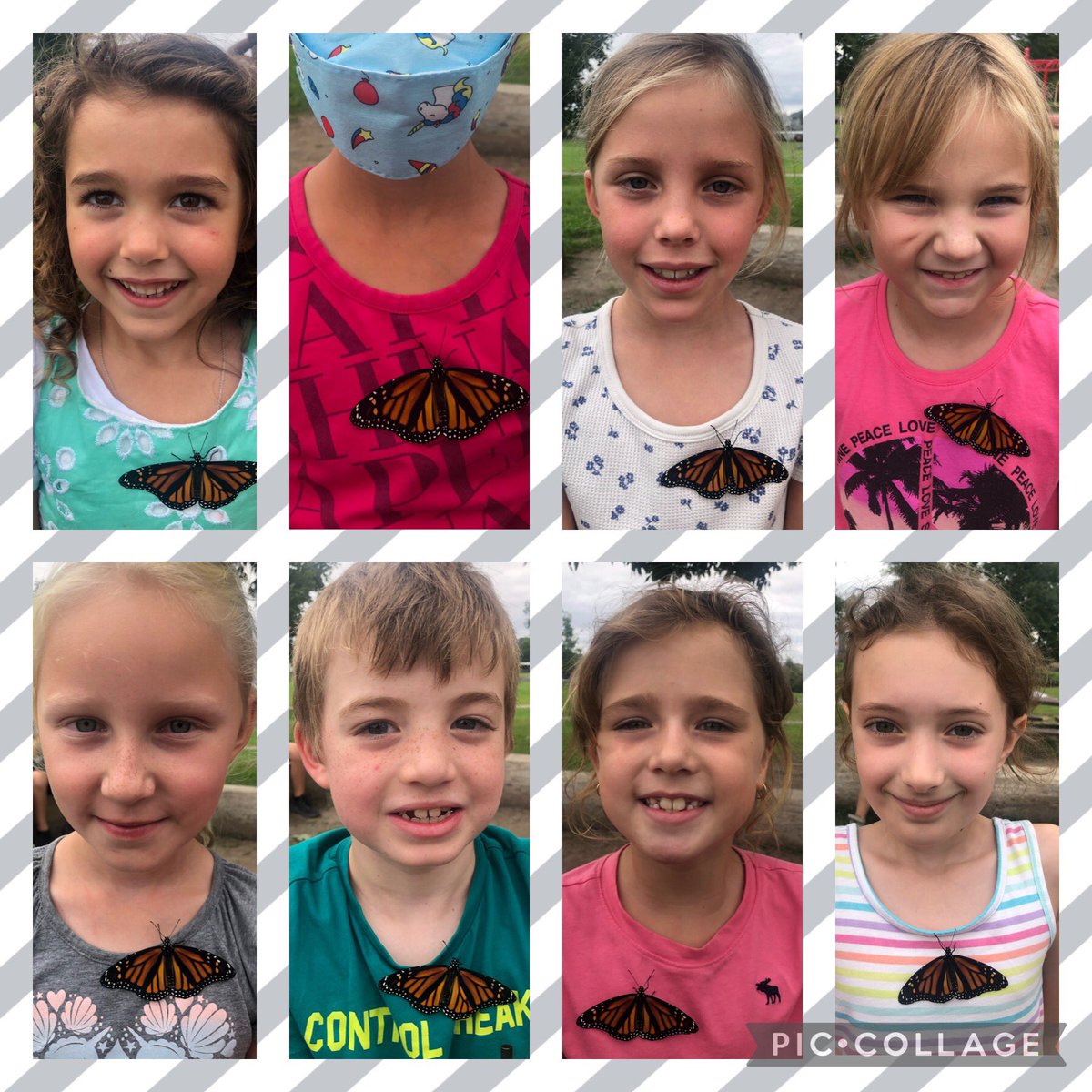 𝕄𝕣𝕤 𝕄𝕖𝕘𝕙𝕒𝕟 𝔹𝕦𝕥𝕥𝕠𝕟 (she/her) tweet media