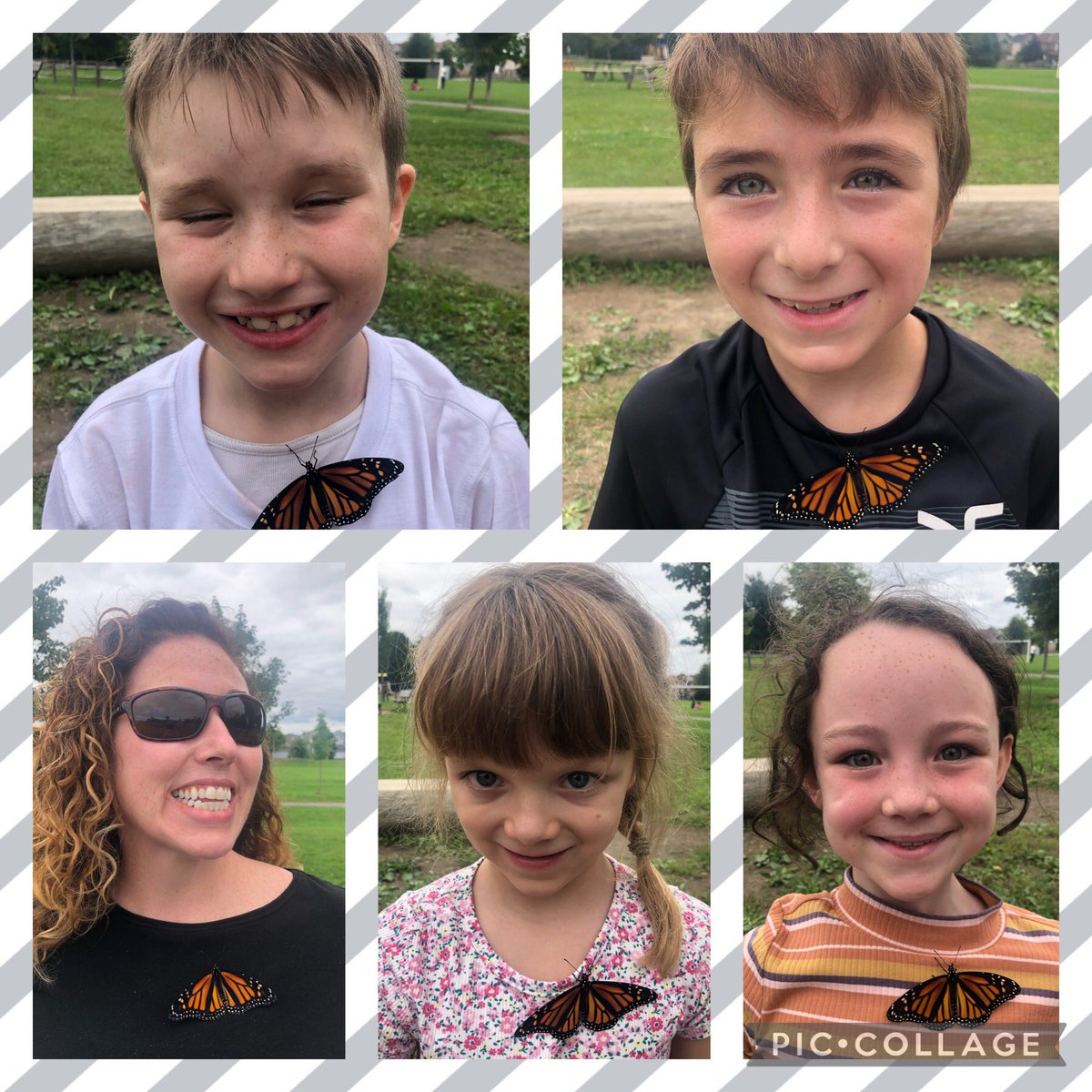 𝕄𝕣𝕤 𝕄𝕖𝕘𝕙𝕒𝕟 𝔹𝕦𝕥𝕥𝕠𝕟 (she/her) tweet media