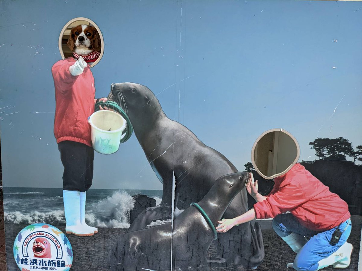 LINDE1206's tweet photo. 桂浜に行ってきました❤この日はいい天気で���高でしたー❗ https://t.co/Gv1Qgc38C1