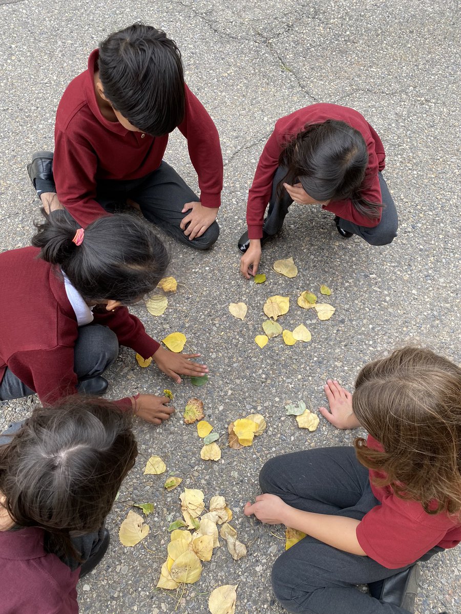 Mrs. Petley-Kerr’s Class tweet media