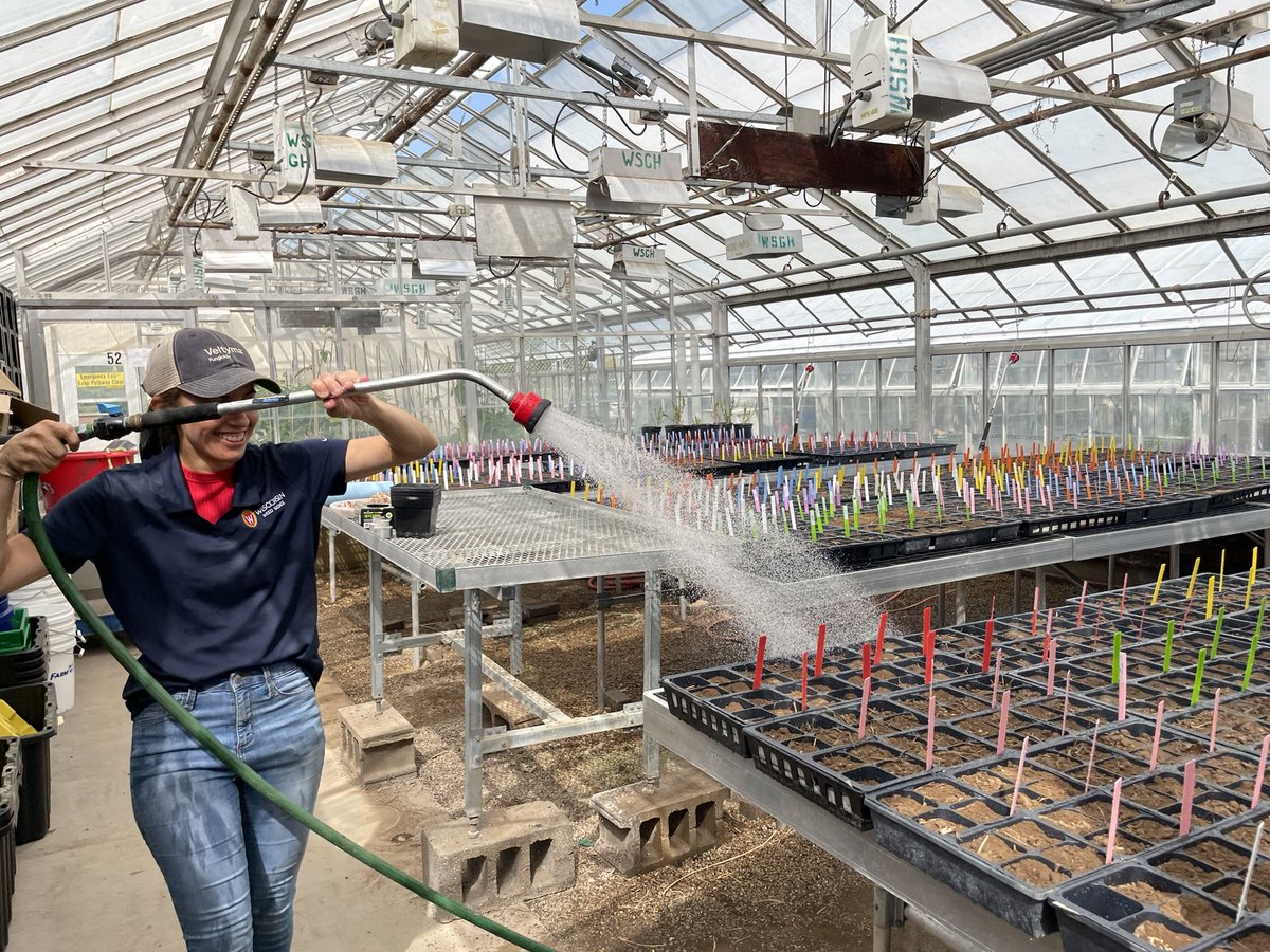 Tatianesevero16's tweet photo. A lot of fun today. The @WiscWeeds Team helped me to establish my 2nd-year Research Experiment evaluating the impact of residual herbicides on interseeded #covercrops. Thanks a lot, all! I am looking forward to seeing the results. https://t.co/2EoKw3fN34