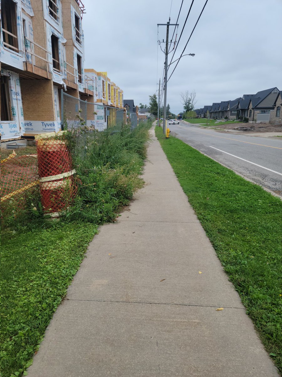 innerbusylife's tweet photo. @make_it_right @RinaldiHomes 
#Pelham #Fonthill #Ontario Kids r trying to walk to school at intersection of Port Robinson/Lametti &amp; have to navigate weeds &amp; metal fencing blocking sidewalk.  How does sidewalk overgrowth #makeitright?  Can you please clean this up ASAP https://t.co/mbY3a8Se35