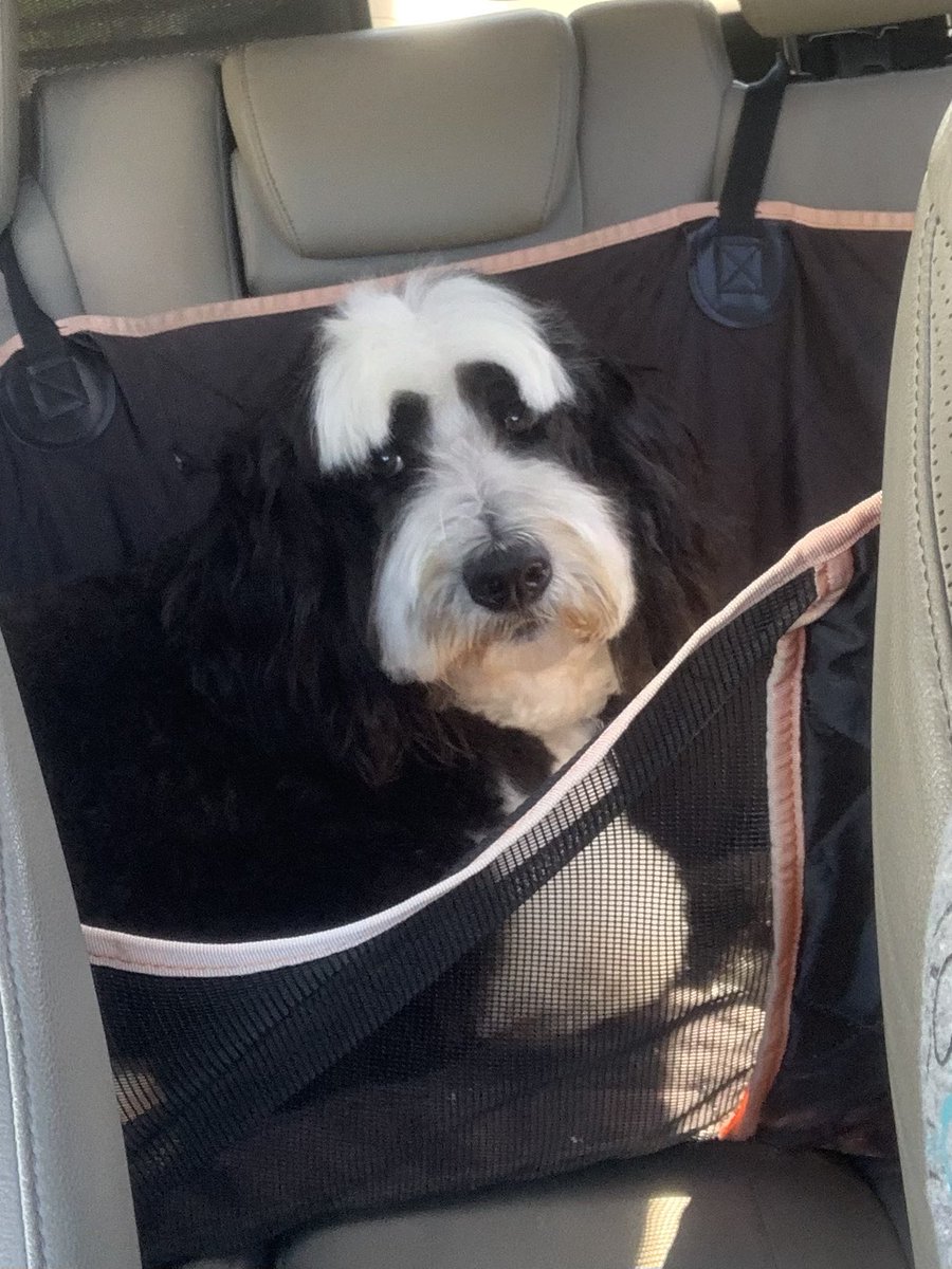 barkforcadence's tweet photo. @Mark_Rathgeber https://t.co/cjQ4RMlG6S