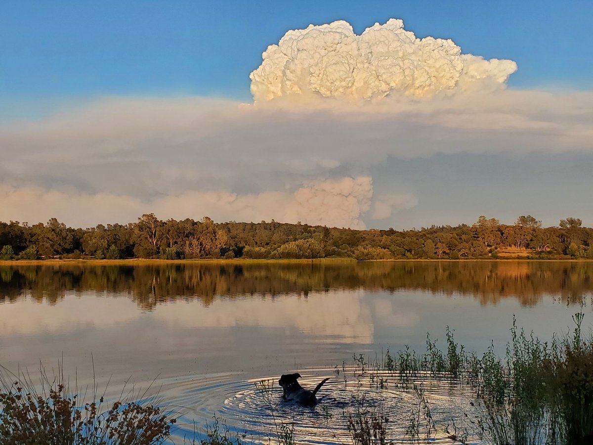 AndiAffliction's tweet photo. #MosquitoFire is a true force of nature. This is the view from Auburn https://t.co/vWf6q8MPep