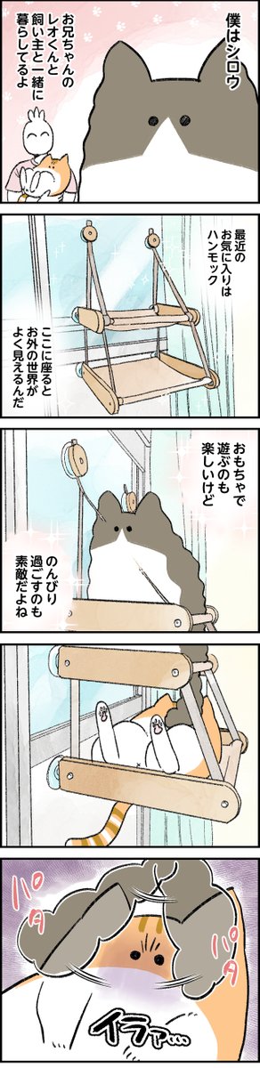 更新(ΦωΦ)✨
この家の主は僕(2) 【漫画】ハンモックがお気に入りの弟猫、その時お兄ちゃん猫は- | マイナビニュース https://t.co/LMwWpCitpc 