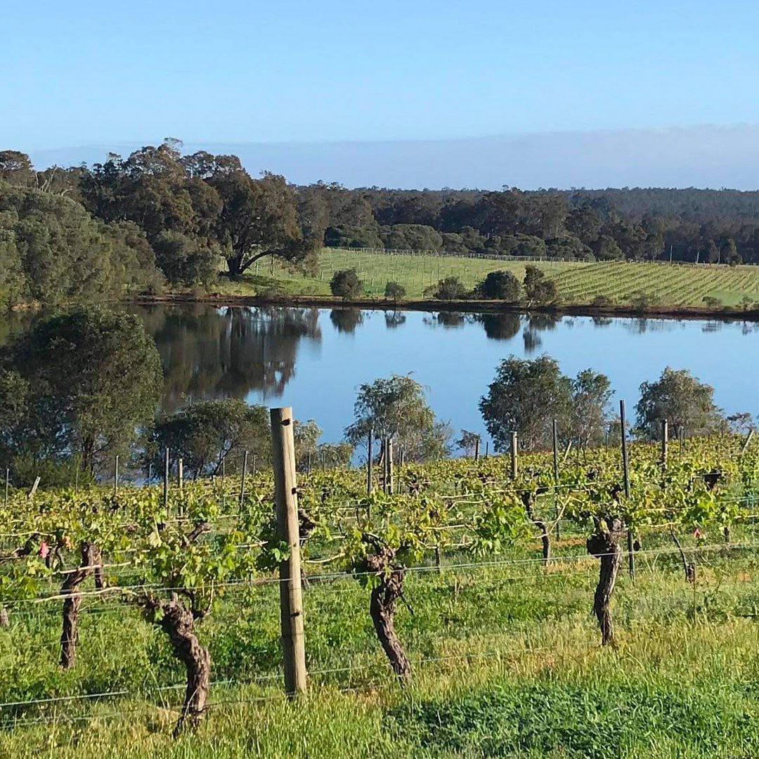 At Umamu Estates (a GWDB Pro member) each bottle is deliberately and meticulously created – from the delicate balance tasted within each glass, to the touches of family handwriting and messages on their labels.