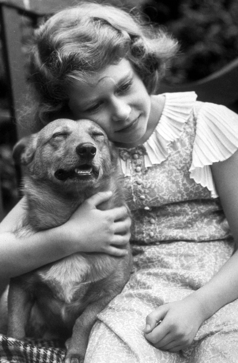 Queen Elizabeth II was given her first corgi – a Pembroke Welsh Corgi named Dookie – when she was just 7 years old.  bustle.com/entertainment/…

📸 via getty