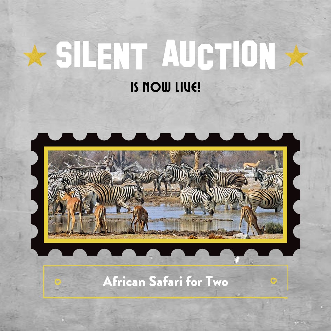 CASA17th's tweet photo. Bidding starts now! Our Indulge for CASA Silent Auction is OPEN and ready for you!
Check It Out: https://t.co/NfgglzDY8z
#CASA17th #IndulgeForCASA #silentauction https://t.co/s9JkmOvHMq