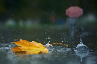 Бугундан Ўзбекистонда об-ҳаво ўзгаради, айрим ҳудудларда ёмғир ёғади
ЖАМИЯТ

Ўзбекистон Гидрометеорология хизмати 9 сентябрь куни кутилаётган об-ҳаво маълумотини эъло...
darakchi.uz/uz/151936

Обуна бўлинг: t.me/darakchi
youtube.com/channel/UC7pgD…