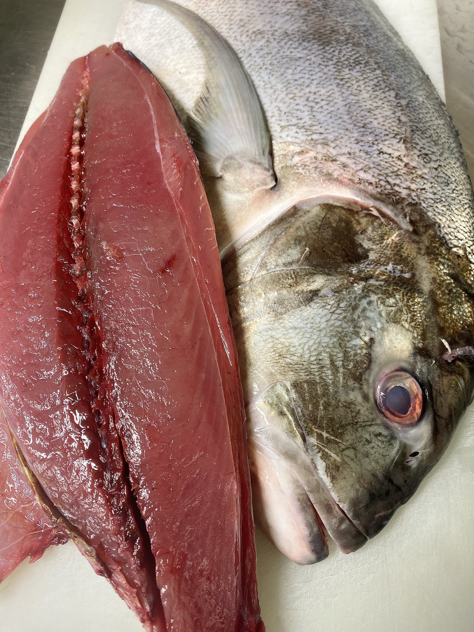 四季旬菜むら田 十三東 9月9日 金 本日のお魚さん入荷速報です オジサン 真鯛 ヒゲソリダイ メイチダイ ノドグロ ロウニンアジ カツオ たっぷり T Co 8ytub9c3ys Twitter