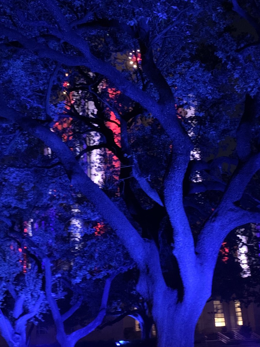 City of Houston tweet media