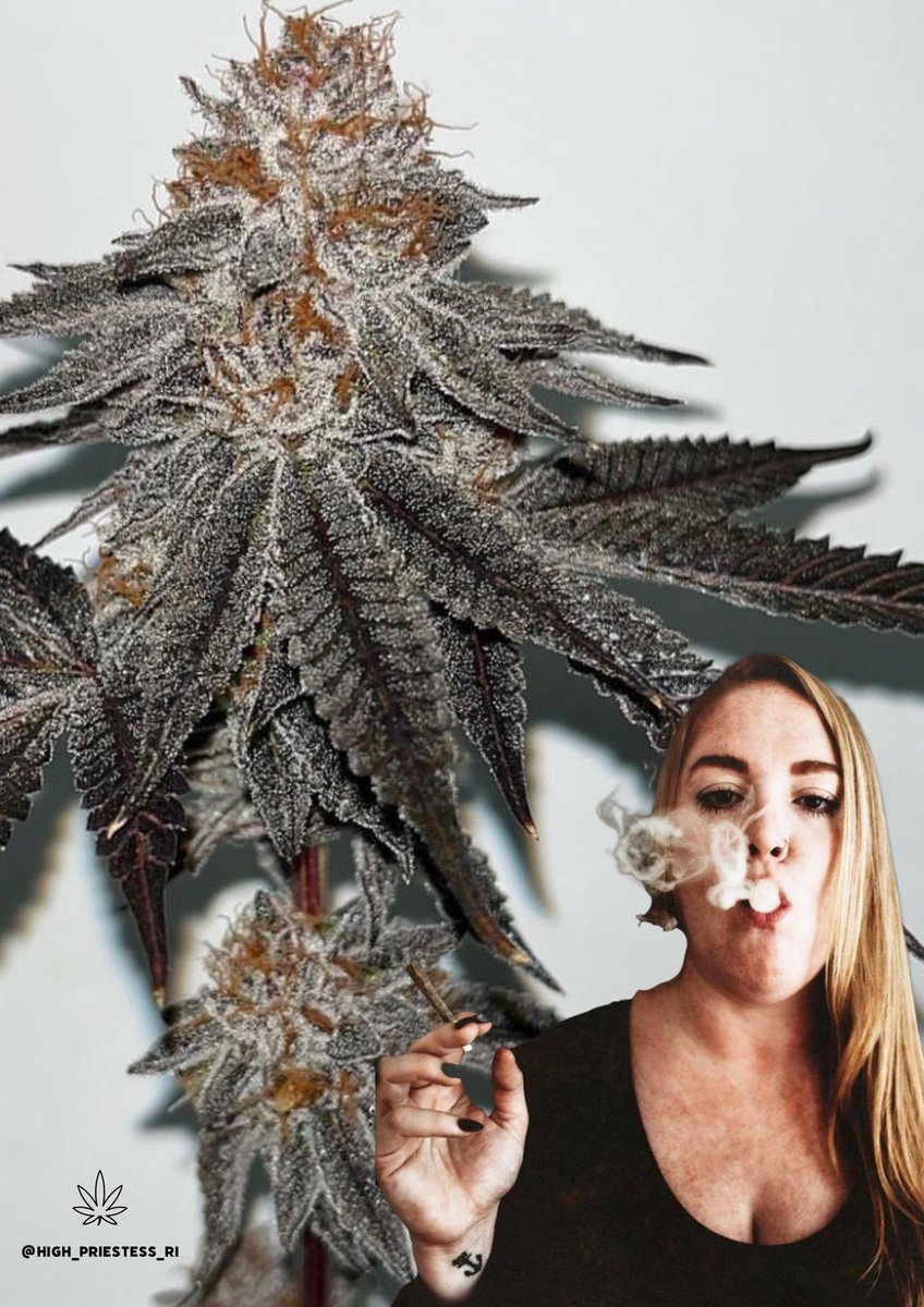 Excited to have my first event at Rise Dispensary on September 20th with CMS Cultivation 🤙🏼💨 #rhodeislandcannabis #mmp #CannabisCommunity