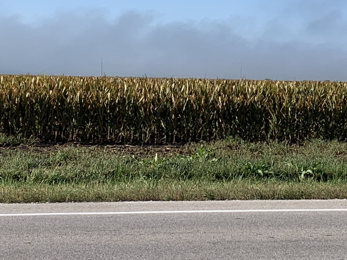 Matt Montgomery tweet media