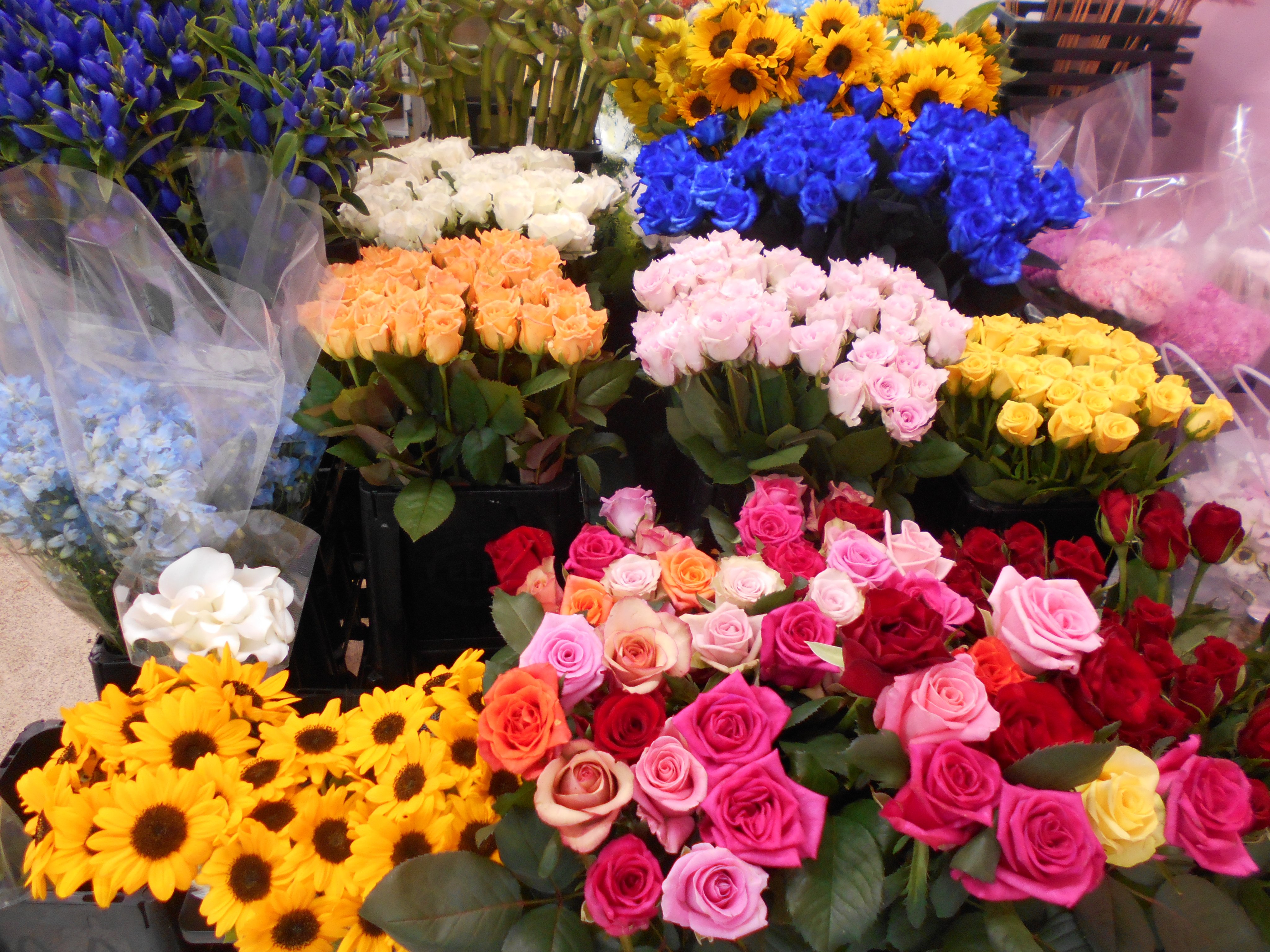 フラワーマルシェ Flowermarche01 Twitter