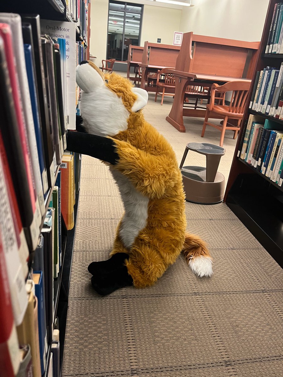 Marist_Library's tweet photo. Happy World Literacy Day! Jimmy likes to celebrate by picking out a new book to read.
#marist #maristcollege #maristlibrary #college #library #collegelibrary📚 #library #worldliteracyday #worldliteracy https://t.co/HZeEsYfq9e