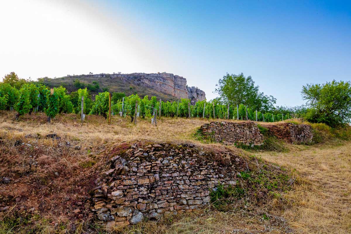 Robert Parker Wine Advocate (@wine_advocate) on Twitter photo While it’s often stereotyped as a warm region, the reality is that the Mâconnais encompasses a huge variety of expositions, altitudes and soil types...
Read <a href="/wgfkelley/">William Kelley</a>'s full report and 170+ tasting notes here: lnkd.in/g7K9TkEg
📷: Domaine Guffens-Heynen While it’s often stereotyped as a warm region, the reality is that the Mâconnais encompasses a huge variety of expositions, altitudes and soil types...
Read <a href="/wgfkelley/">William Kelley</a>'s full report and 170+ tasting notes here: lnkd.in/g7K9TkEg
đź“·: Domaine Guffens-Heynen