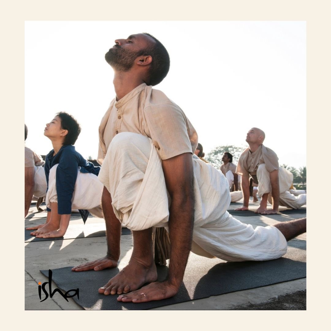 LA Hatha Yoga | Yogasanas