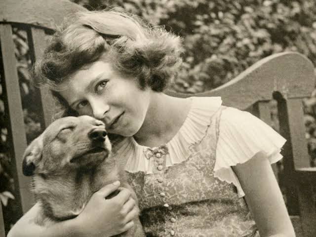 analuzsaso's tweet photo. Aquí la pregunta más importante es ¿quién le va a explicar a los corgis que ella ya no va a regresar? https://t.co/Ou26O4TKVu