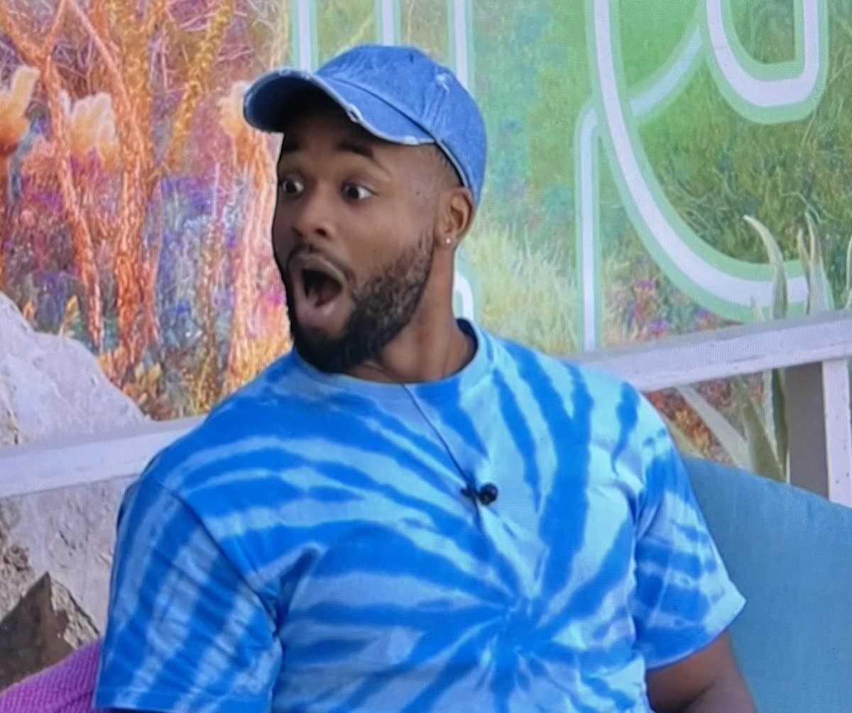 NeshaTweetsBB's tweet photo. I am speechless! #BB24 https://t.co/xtKD3SsLnM