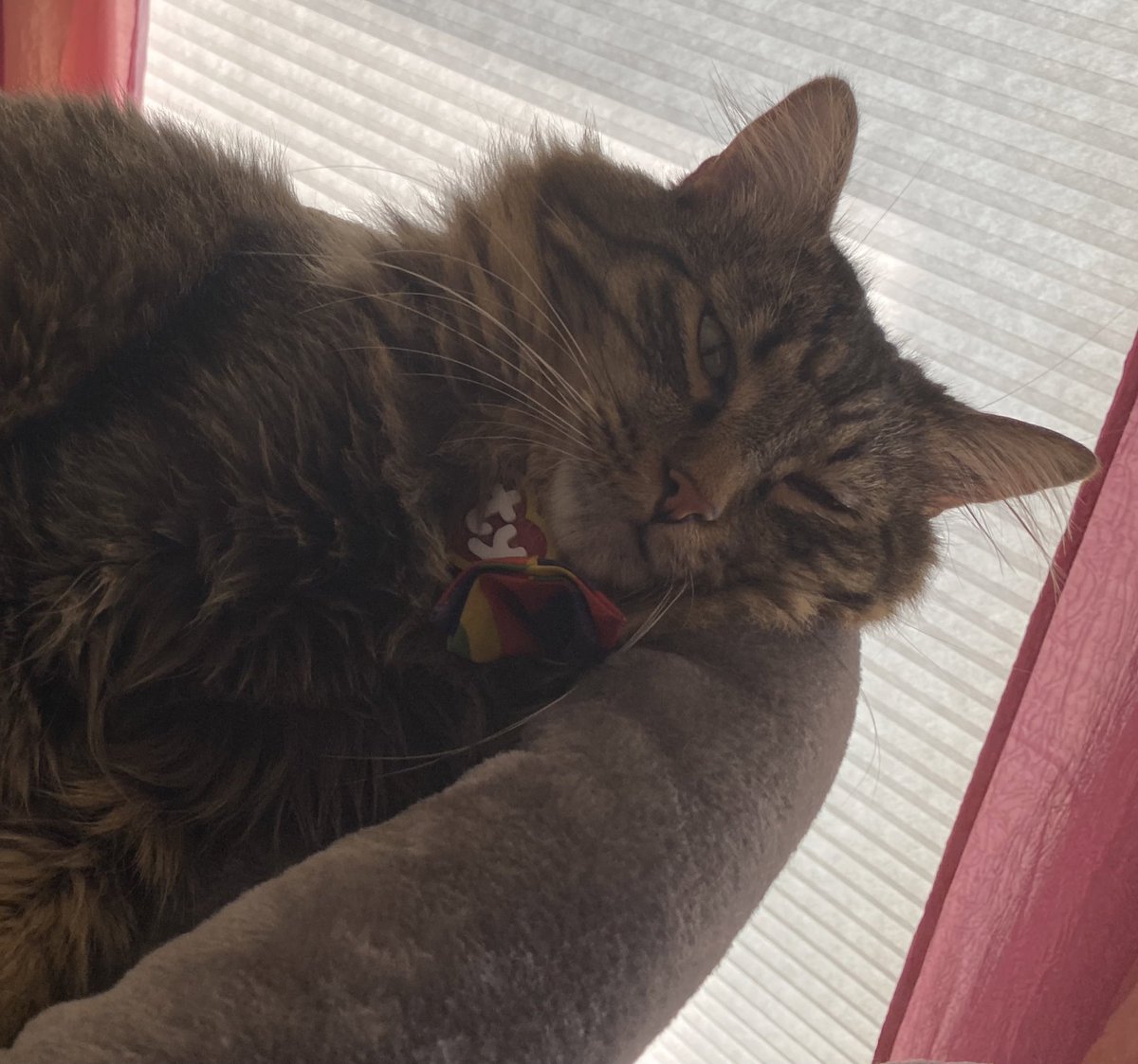 da smoochers tweet media