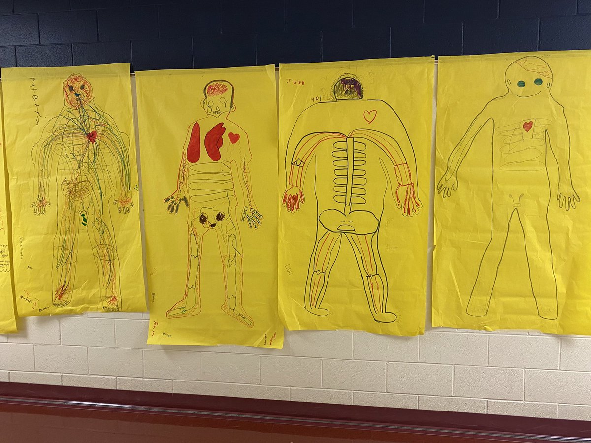 FultonOfTeachin's tweet photo. @JordanNISD 6th grade Healthy Habits students have spent the last few days learning about their body systems and creating their life size representations! So proud of the work these kids put in! #JordanMSignited https://t.co/diSPRPze1a