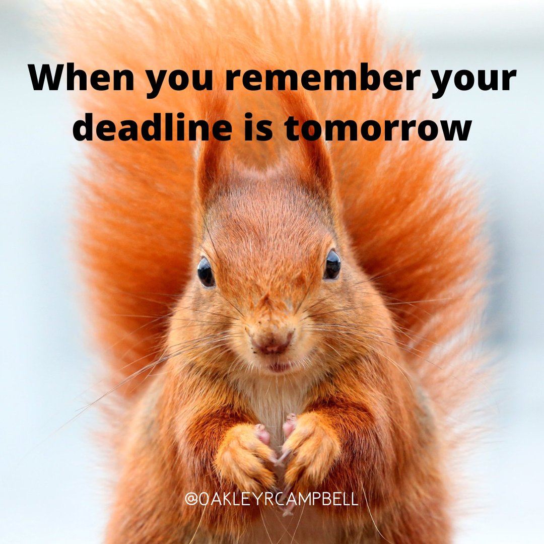 oakleyrcampbell's tweet photo. Say what?!? (Good thing it's not)

#oakleyrcampbell #writingdeadline #writingmeme #cuteanimals #amwriting #writingcommunity #writersoftwitter https://t.co/ppedvI40Tm