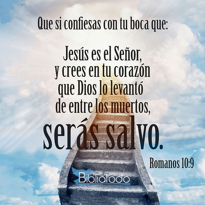 soldadod_Jesus's tweet photo. ☀️ ᐯᕮᖇSÍᑕᑌᒪO ᗪᕮᒪ ᗪÍᗩ ☀️
📖 Romanos 10:9 (NVI)
Que, Si Confiesas Con Tu Boca Que JESÚS Es El Señor y Crees En Tu Corazón Que DIOS Lo Levantó de Entre los muertos, Serás Salvo.
#VersículodelDía #BIBLIANVI #DIOS #ConfiesaaJESÚSConTuBoca #CreeEnDIOS #Salvación https://t.co/HIbKLOG7b0