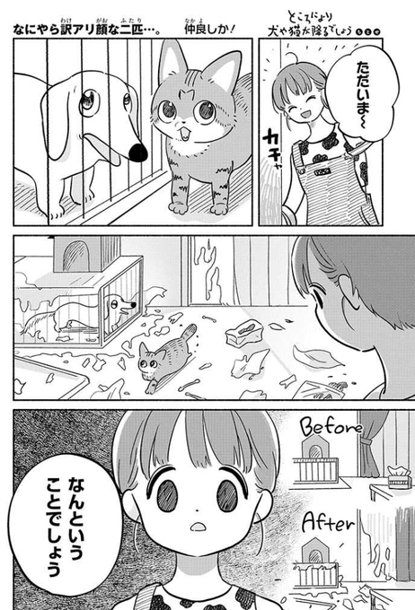 Hやんやんさん犬と猫(ニックネーム変更) ウェルチ68本★定価10,800 やんちゃな子犬がとうとう愛猫に大変なことをしてしまいました