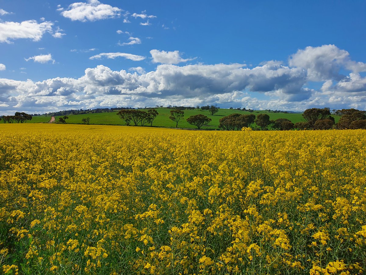 Fantastic to get over to the west for our Kalyx Graduate training camp ! Great week with our new grads, fantastic group across our broadacre and horticulture divisions !  <a href="/kalyx_australia/">Eurofins Kalyx</a>