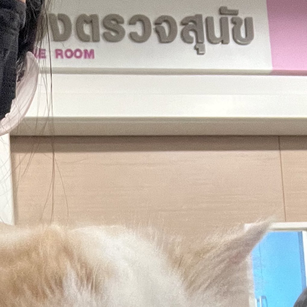 awwwfluffy's tweet photo. นั่นมันอ่านว่าาาาาาา https://t.co/tFxNiw2xdP
