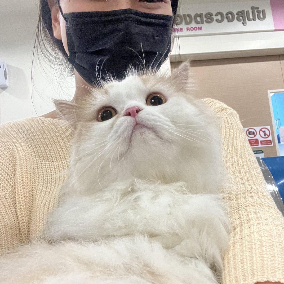 awwwfluffy's tweet photo. นั่นมันอ่านว่าาาาาาา https://t.co/tFxNiw2xdP