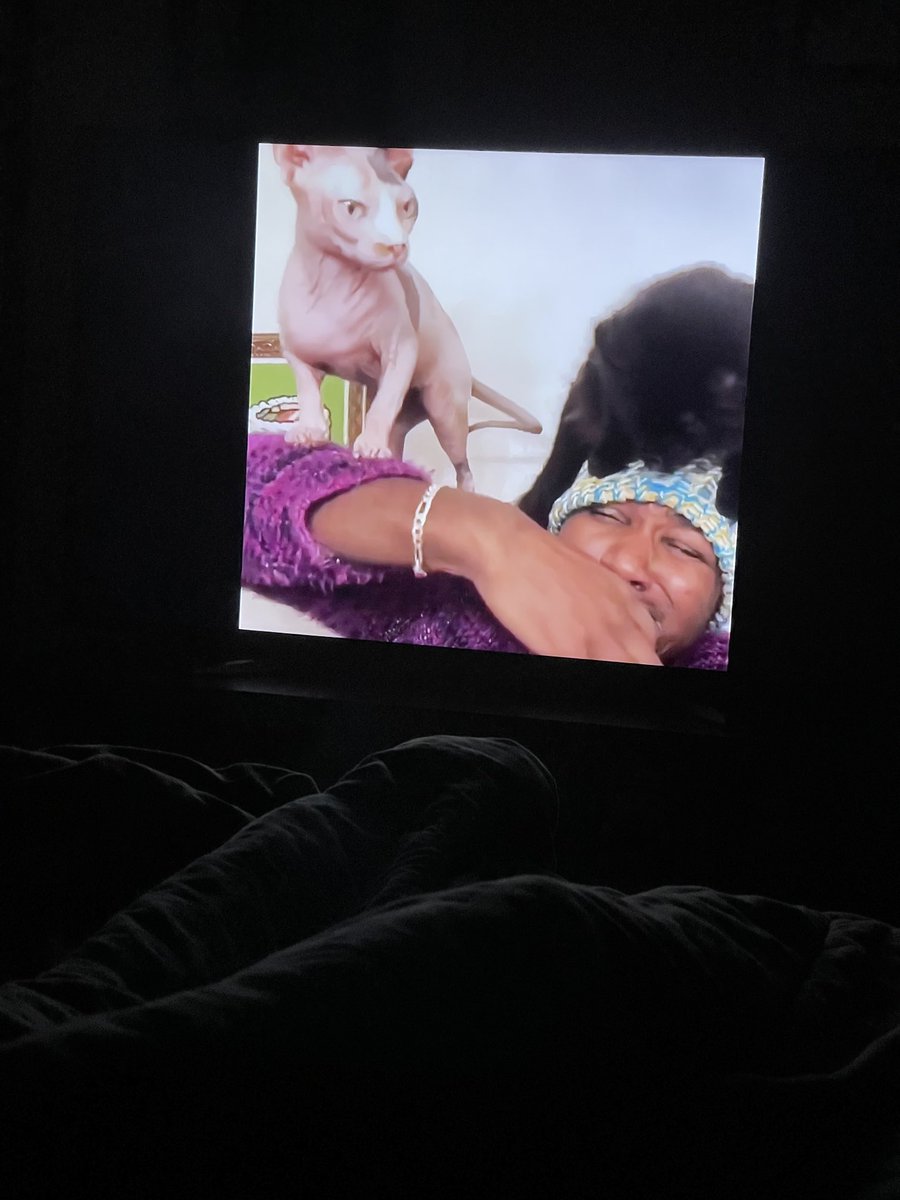 ❤️ this! ❤️you ⁦⁦<a href="/iammoshow/">iAmMoshow - The Cat Rapper ™</a>⁩ So cool to see you on ⁦<a href="/netflix/">Netflix</a>⁩ #cattastic