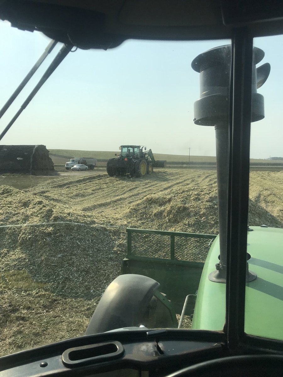 My 91 year grandpa, in the Cadi, and my dad, in his feed truck, had to swing by to make sure me and ⁦@Andy69828116⁩ were correctly pushing silage. That’s what makes the cattle industry! 🤠🐂