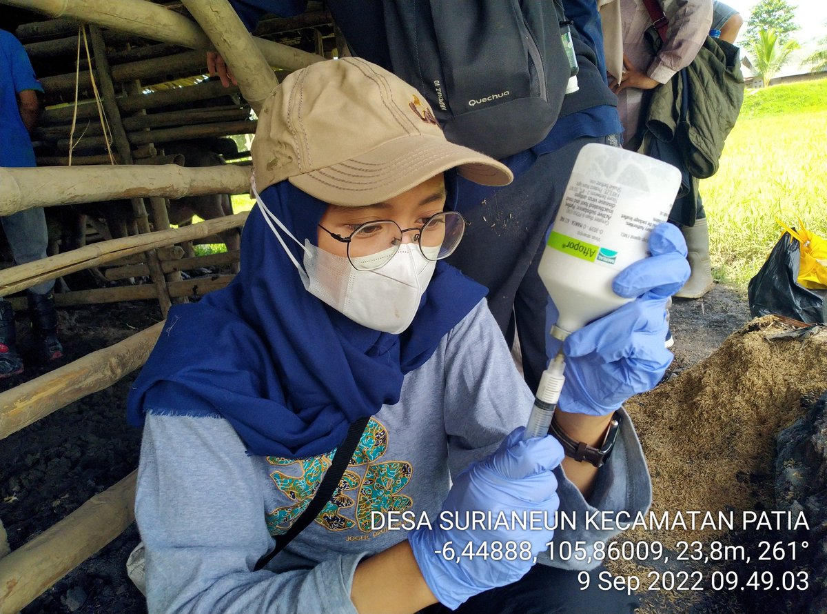dpkppandeglang's tweet photo. Giat UPT PUSKESWAN DINAS PERTANIAN DAN KETAHANAN PANGAN #DPKP KABUPATEN PANDEGLANG: Pelayanan vaksinasi penyakit mulut dan kuku #PMK dan Pemberian vitamin di Desa Surianeun Kec. PATIA Jumat 09.09.2022

CC @irnadim99 @nasirdistan @uun05129643 r https://t.co/CSzNgGLBRe